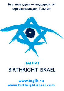 taglit logo