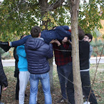 IMG_0795.JPG