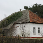 10.JPG