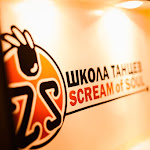 ol5488343.jpg