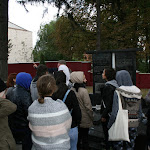 IMG_6192.jpg