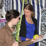 DSC08841.JPG