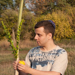 Параплан_221.jpg