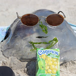 IMG_8446.jpg