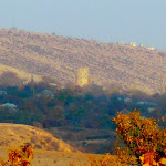 n.jpg