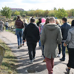 IMG_6106.jpg