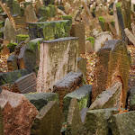 DSC_1297.JPG