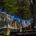hillel_kpisushka-9.jpg