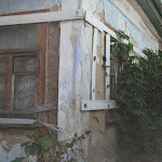 IMG_6206.jpg