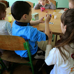 IMG_3016.jpg
