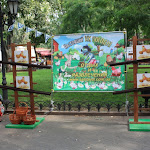 IMG_8700.JPG