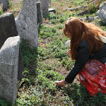 IMG_6138.jpg