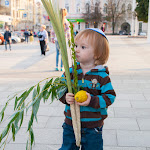 sukkah_city_16.jpg