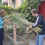 DSC_0045.JPG