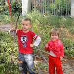 DSC08820.JPG