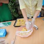 DSC_0805.jpg