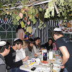 DSC08877.JPG