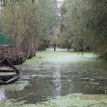 19.JPG