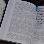 DSC08840.JPG