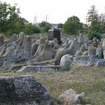 IMG_6130.jpg