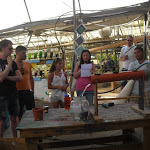 Water purification_green house.jpg